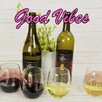 LeahVanDale cheers wine drinks salute GIF