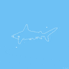 just keep swimming shark week GIF by Lunares