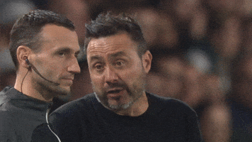 Parler De Zerbi GIF by Olympique de Marseille