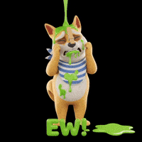 Disgusted Shiba Inu GIF by Doge Pound