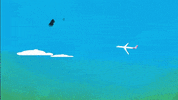 pepperlive flying warning pepper planes GIF