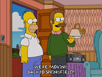 homer simpson episode 20 GIF
