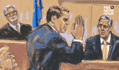 Illustrated gif. A pastel-drawn courtroom sketch from the Trump hush money trial in New York City shows Trump defense lawyer Todd Blanche interrogating former Trump lawyer Michael Cohen on the witness stand with his right hand up. Cohen's eyebrow is raised, expressing confusion. The scene cuts to a wider shot of the sketch revealing Judge Juan Merchan looking on Blanche and Cohen with a perplexed look on his face. 