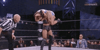 Aew On Tnt The Bunny GIF by All Elite Wrestling on TNT