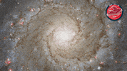 James Webb Nasa GIF by ESA Webb Space Telescope