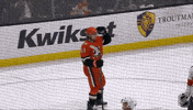 Happy Anaheim Ducks GIF by NHL