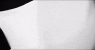 music video applause GIF by Lady Gaga