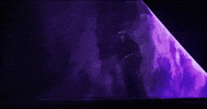 music video applause GIF by Lady Gaga