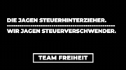 Steuern GIF by Team Freiheit