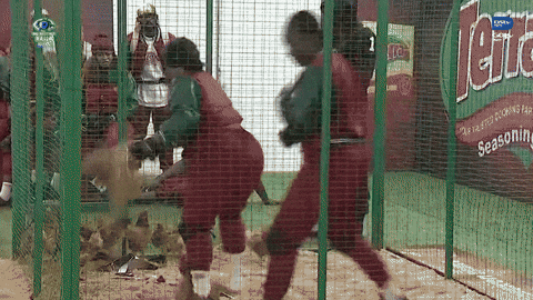 Bbnaija GIF by Big Brother Naija