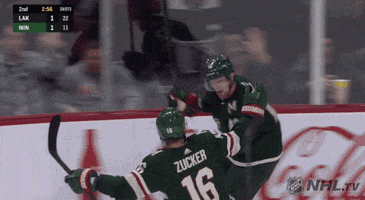 Ice Hockey Sport GIF by NHL