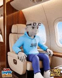 Sit Down Private Plane GIF by Zhot