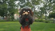 Love You Kiss GIF by Bowling Green State University