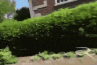 Faceplant Running GIF by Respective