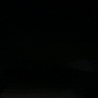 Celebrate 4Th Of July GIF by NOSAM