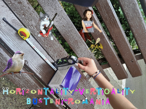 iulianaciubuc giphygifmaker giphyattribution horizontality-verticality GIF