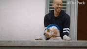 The Pack Dogs GIF by Amazon Prime Video