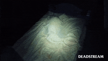 Run Away Haunted House GIF by Deadstream