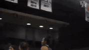 university of houston flex GIF by Coogfans