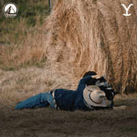 Happy Dog GIF by Yellowstone