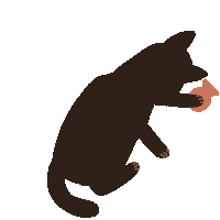 Cat Kitty Sticker