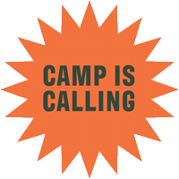 Ccsummercamp Sticker by Create Cultivate