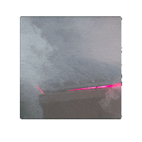 Return Of The King Survivor Sticker