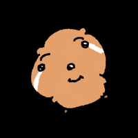 Sad Quokka GIF