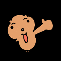 Quokka GIF
