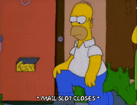 homer simpson GIF