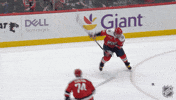 Washington Capitals Smile GIF by NHL