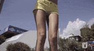 GIF by Playboy