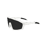 Gafas Voice Sticker by VOICE SPORTS