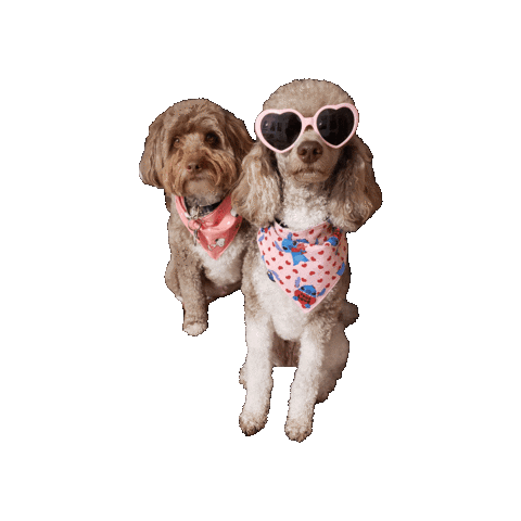Valentines Sticker by Geekster Pets