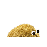 WeAreWellOne weird healthy fruit peek Sticker