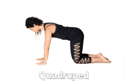 woman fitness GIF
