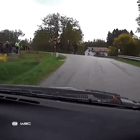 Racing Driving GIF by FIA World Rally Championship