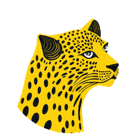 Locarno76 Sticker by Locarno Film Festival