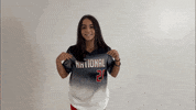 thealliancefastpitch softball fastpitch the alliance fastpitch alliance fastpitch GIF