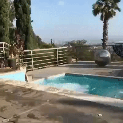 nalgas GIF