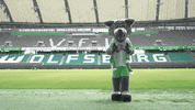 happy france GIF by VfL Wolfsburg