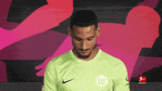 Vfl Wolfsburg Football GIF by Bundesliga