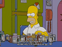 homer simpson episode 6 GIF