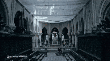 France Paris GIF by PBS News