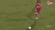 Kvk Cant Stop GIF by KV Kortrijk