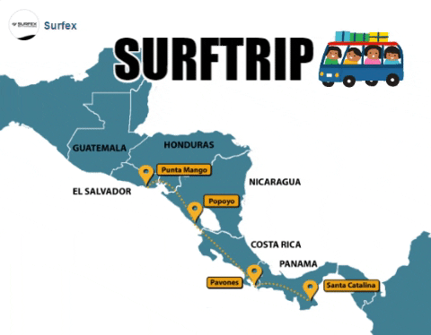 surfing destinations GIF by Gifs Lab