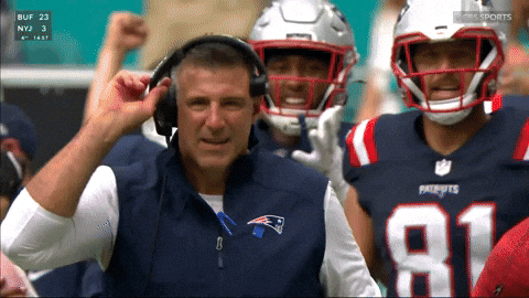 Mike Vrabel Celebration GIF by New England Patriots