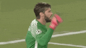 screaming alisson becker GIF by AS Roma