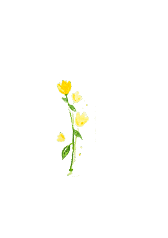 yarasgallery giphyupload flower yellow spring Sticker