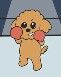 Boxing GIF